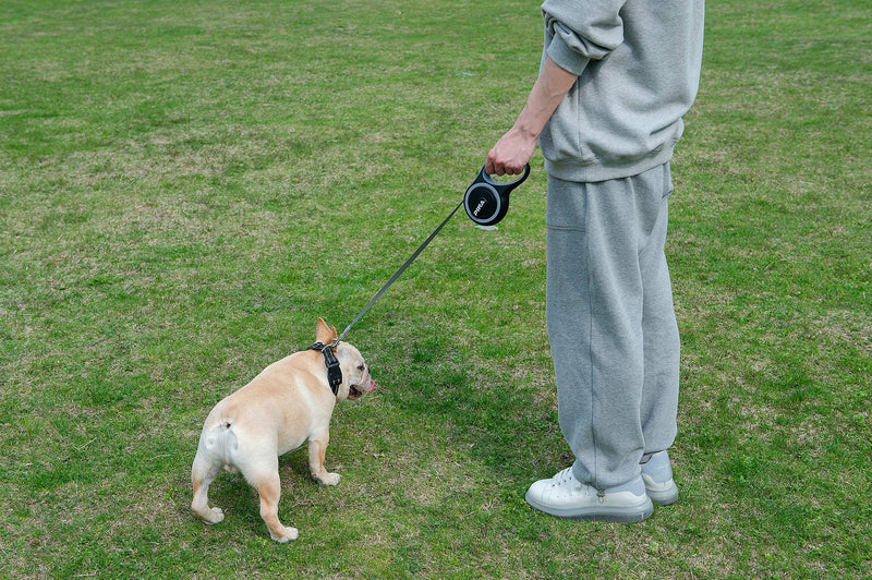 PINA Retractable Dog Leash, 26ft Dog Leash for Small Medium Large Dogs Up to 110lbs, 360° Tangle-Free Strong Reflective Nylon Tape, with Anti-Slip Handle, One-Handed Brake, Pause, Lock 16FT Black Gray - PawsPlanet Australia