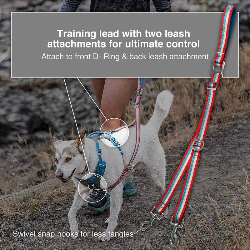 [Australia] - Kurgo Two Control Point Leash | No Pull Training Leash for Dogs | Pet Traffic Lead | Double Dog Leash | Adjustable | Reflective | Tangle-Free | Comfortable Handle | Walk About Training Reins 