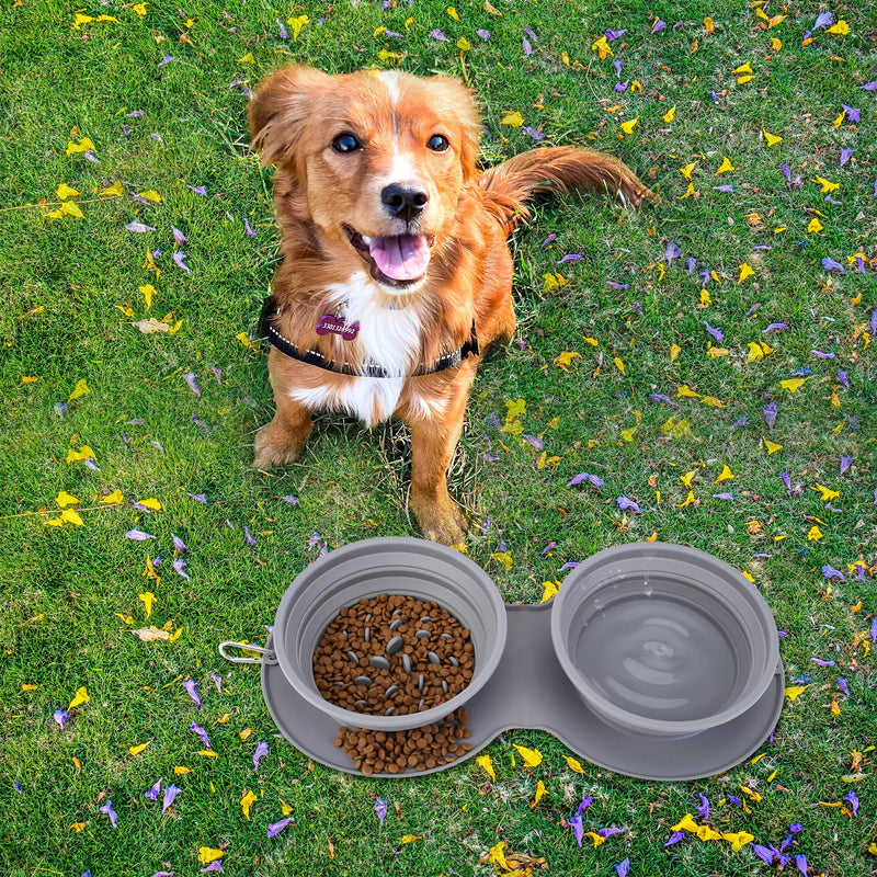 Filhome Collapsible Portable Double Dog Cat Bowl Dish with Mat, No Spill Non-Skid Silicone Slow Feeder Puzzle Pet Travel Bowl, Dog Cat Water and Food Bowl Dish for Travel Camping Hiking - PawsPlanet Australia