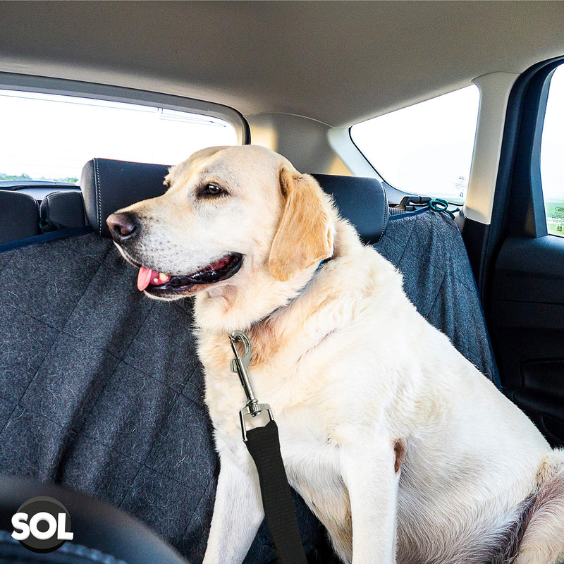 2pk Dog Car Seat Belts | Adjustable Dog Seat Belt for Dogs In Car | Dog Seat Belts for Cars UK | Car Dog Seat Belt Clip | Dog Car Seat Belt | Dog Seatbelt for Dogs | Dog Safety Belt for Car - PawsPlanet Australia