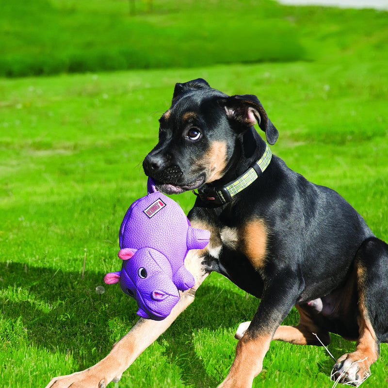 KONG - Phatz Lion - Durable Dog Plush Toy with Squeaker - For Medium Dogs - PawsPlanet Australia