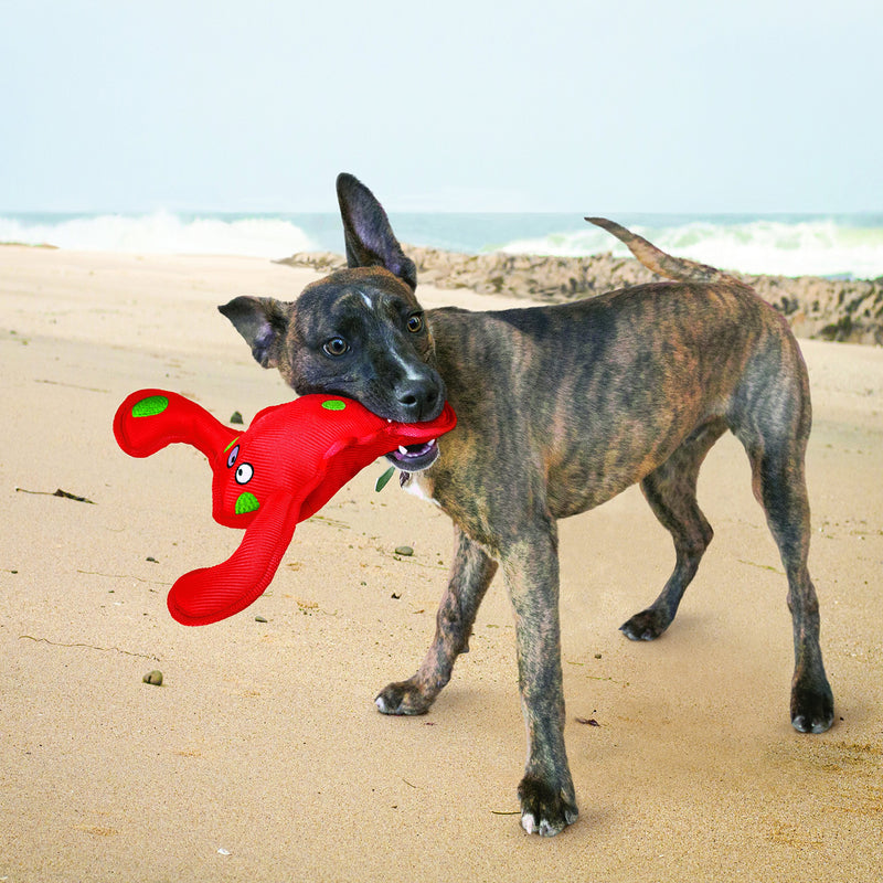 KONG Belly Flops, Octopus - PawsPlanet Australia