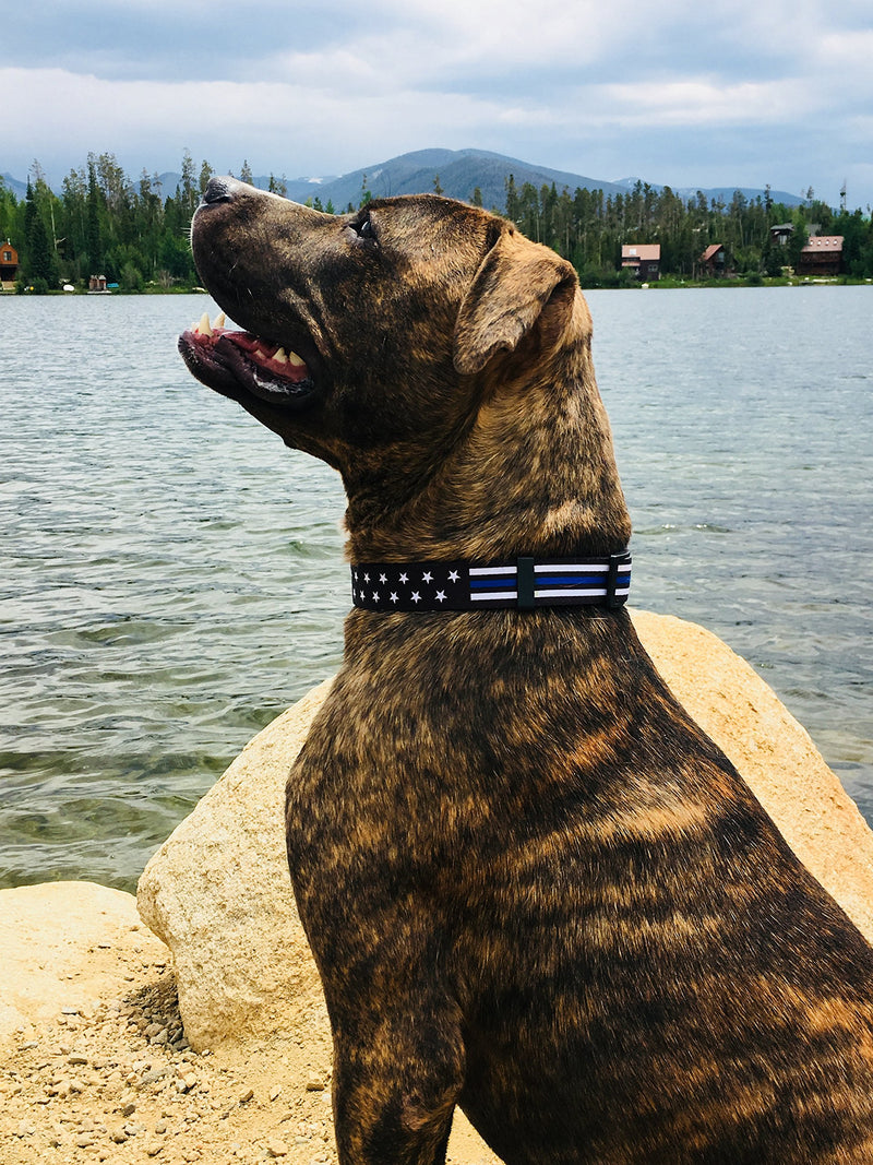 [Australia] - Native Pup Thin Blue Line Dog Collar- Stars Small 