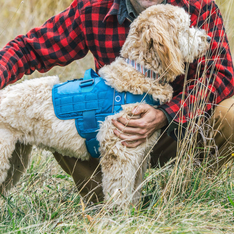 Kurgo RSG Townie dog harness, easy to put on and take off, adjustable chest and stomach straps, size L, blue - PawsPlanet Australia