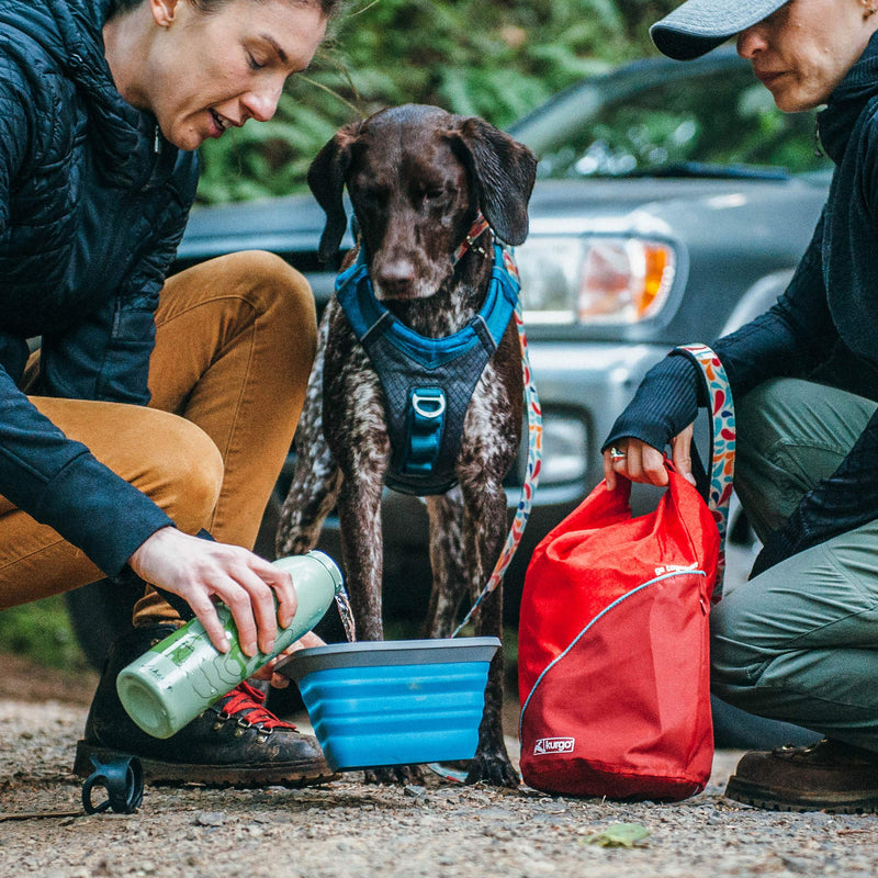 Kurgo Dog Kibble Carrier, Dog Food Travel Bag, Dog Food Travel Container, Red Chili Red - PawsPlanet Australia