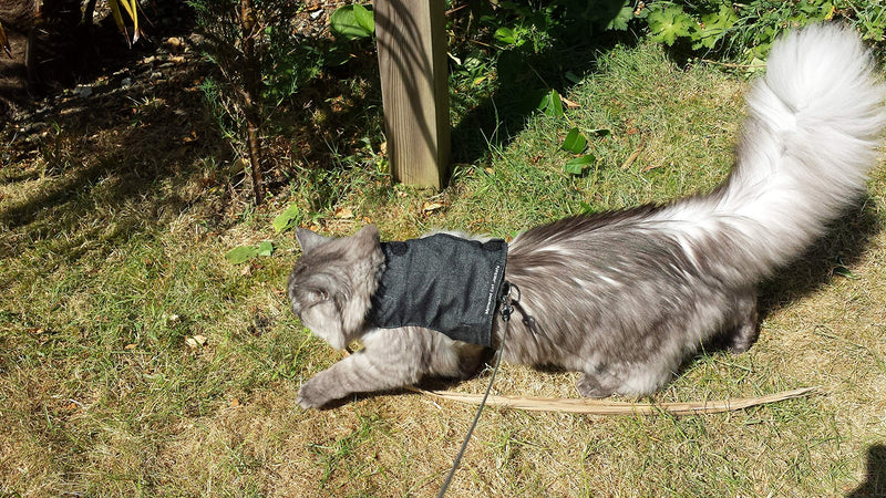 Mynwood Cat Jacket/Harness Black Denim Adult Cat - PawsPlanet Australia