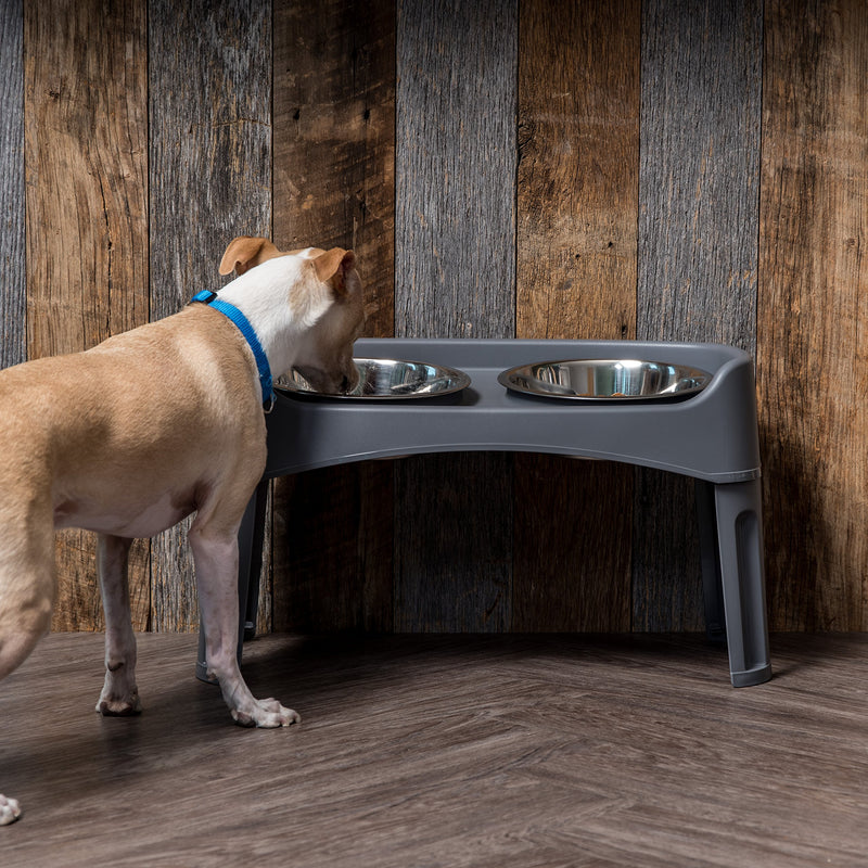 [Australia] - IRIS Pet Elevated Feeder with Stainless Steel Bowls Gray Large without Storage 