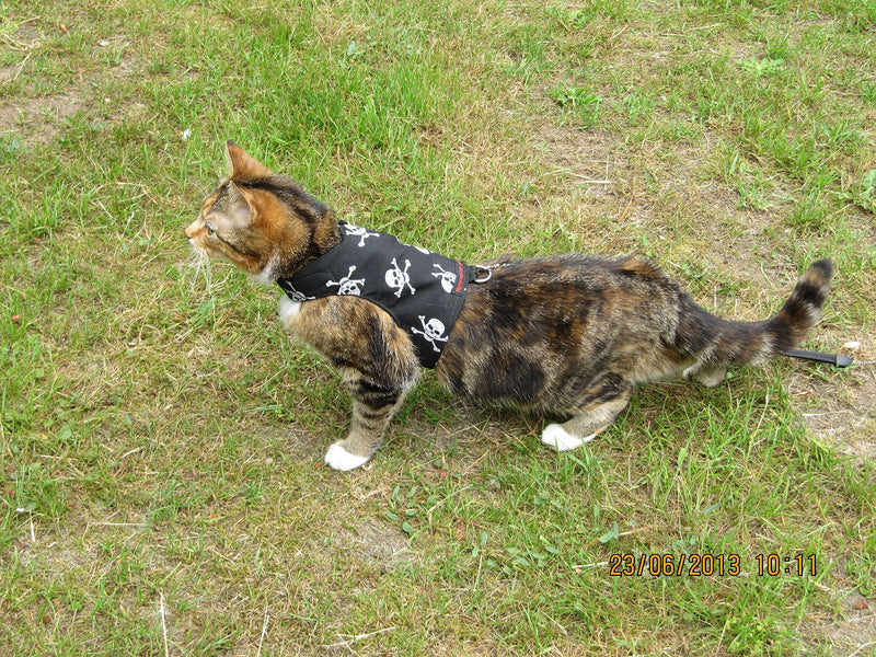 Mynwood Cat Jacket/Harness Skulls Adult Cat - PawsPlanet Australia