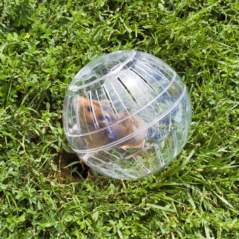 Relaxdays Exercise Ball for Hamsters and Mice, 14 cm, Transparent - PawsPlanet Australia