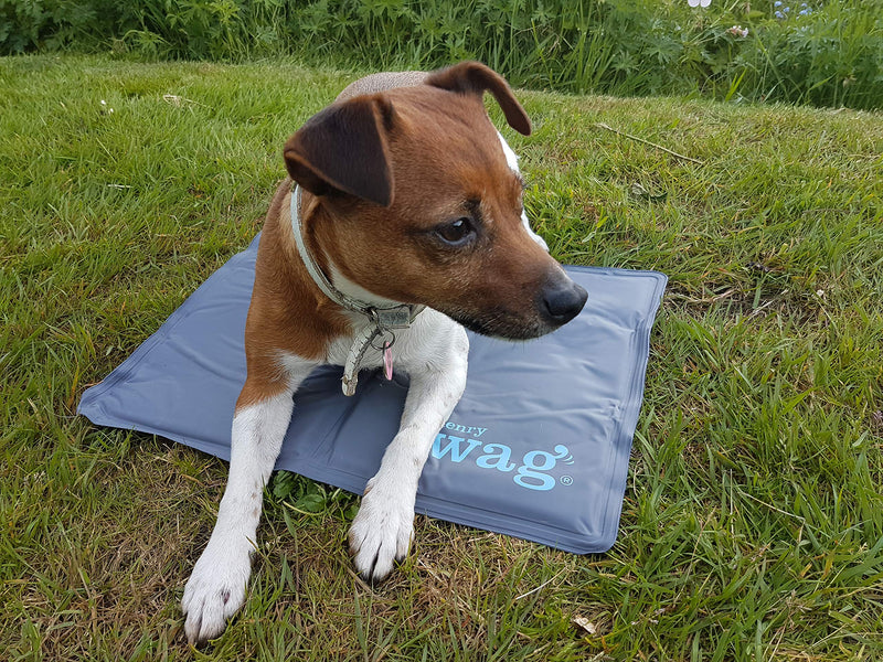 Henry Wag Gel Cool Mat Small 30x40cm Small Size: 40x30cm - PawsPlanet Australia