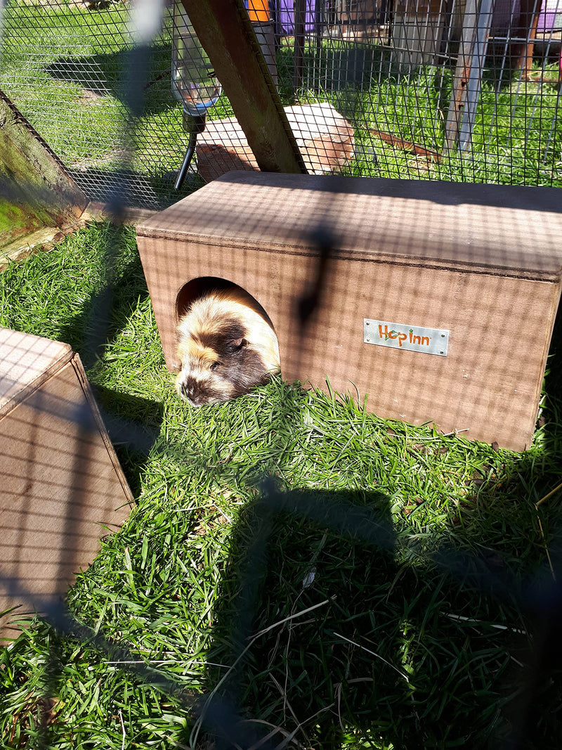 Hop Inn Guinea Pig Hideaway Tunnel (Lt Oak) - 40 cm L x 20 cm W x 18.5 cm H - Handmade in the UK - Arrives Built To Last - Wont tip over - All Weather Natural - PawsPlanet Australia