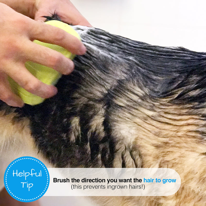 The Original Dog Bath Brush - Best Pet Bathing Tool for Dogs – Soft Silicone Bristles Give Pet Gentle Massage - PawsPlanet Australia