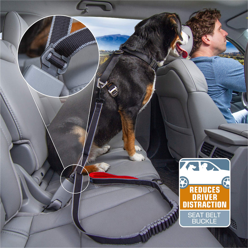 [Australia] - Kurgo K81009 Dog Leash to Seatbelt Buckle | Seatbelt Buckle for Dogs | Travel Adapter | Pet Car Tether |Designed to Reduce Distracted Driving | Works with 1” Leash | Steel Grey 