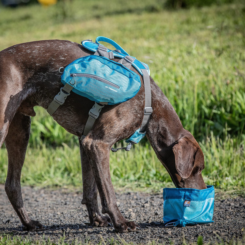 Kurgo Zippy Bowl, Collapsible Travel Dog Bowl for Food and Water with Carabiner, BPA free, Holds 1.4L, Coastal Blue - PawsPlanet Australia