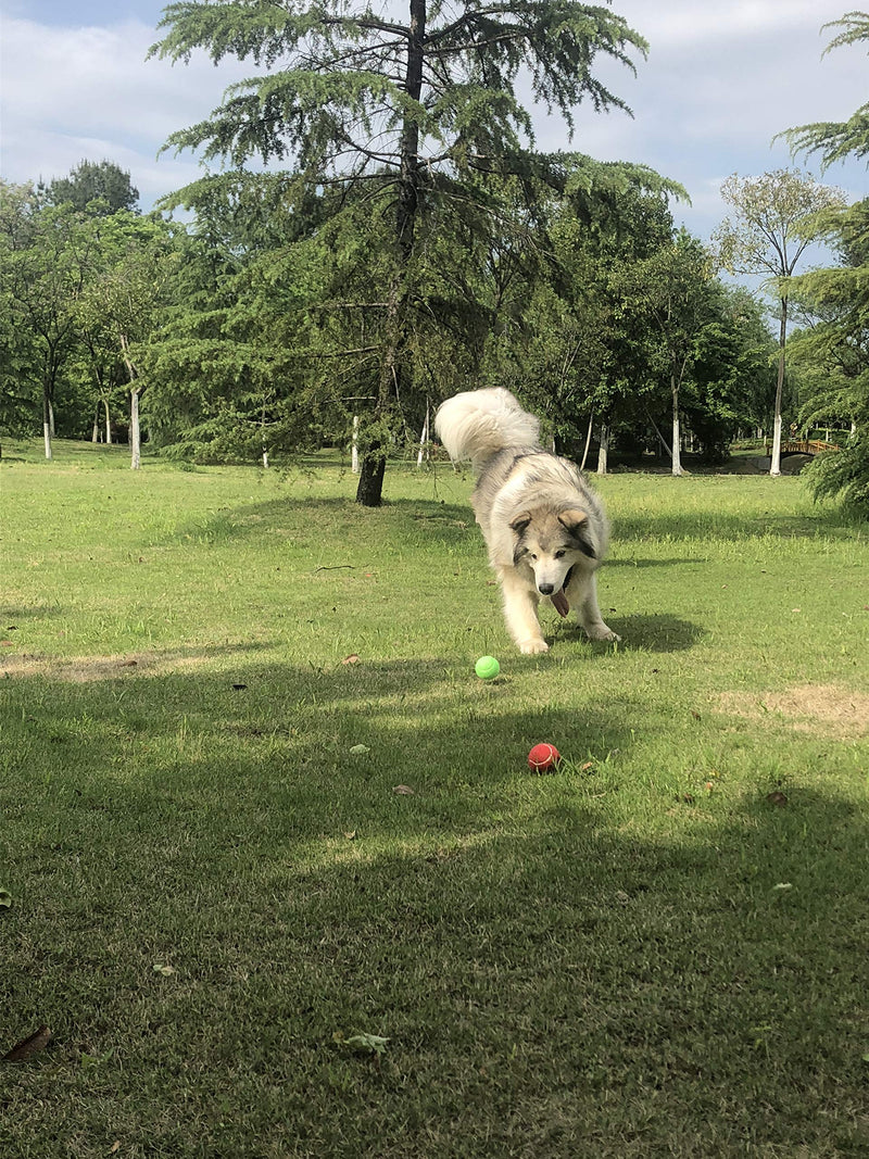 insum Tennis Ball for Dog Pack of 12 Colorful Easy Catching Pet Dog Ball - PawsPlanet Australia