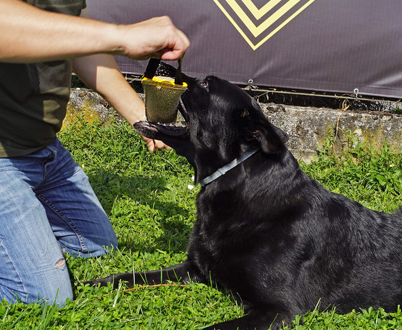 Dingo Jute Bite Tug With Two Handles For Tug Of War Play Dog Bite Training 10579 40 x 6 cm - PawsPlanet Australia