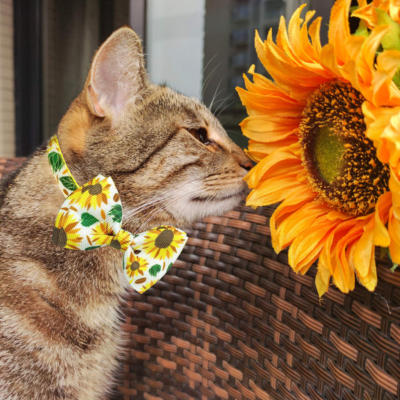 Pohshido 2 Pack Summer Cat Bowtie Collar with Bell, Holiday Safety Breakaway Buckle Kitty Kitten Collars, Assorted Pattern Availables (Adjustable Size from 7.8-12.8 inch) Blossom cherry/Sunflower - PawsPlanet Australia