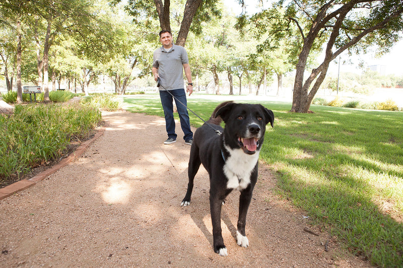 [Australia] - Petmate K9 Control Retractable Dog Walking Leash, includes zeroslack technology allowing leash to retract while in locked position Up to 120lbs 