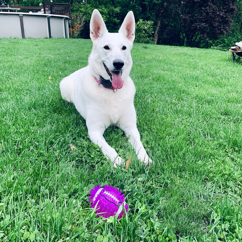 [Australia] - Gnawsome 4.5" Spiky Squeak & Light Football for Dogs - Durable, Rubber Bouncy Puppy Fetch & Chew Toy for Your Pet, Colors Will Vary 