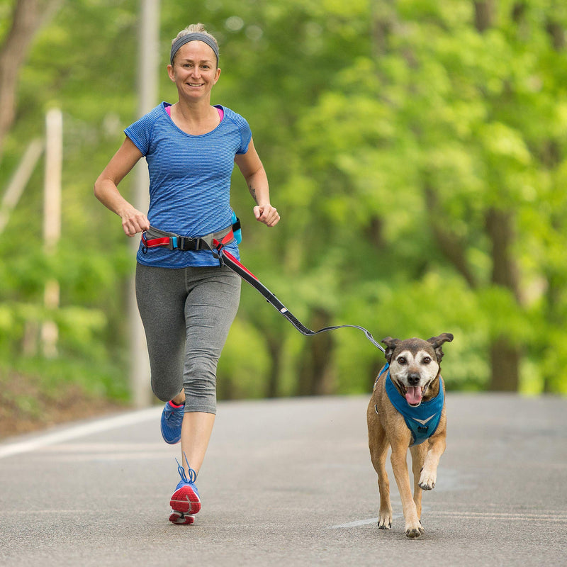 [Australia] - Kurgo K9 Excursion Belt | Adjustable Dog Running Belt with Poop Bags Dispenser | Running Dog Leash Belt | Hands Free Reflective Running Belt | for Running, Walking, Hiking | Comes with Leash Clips 