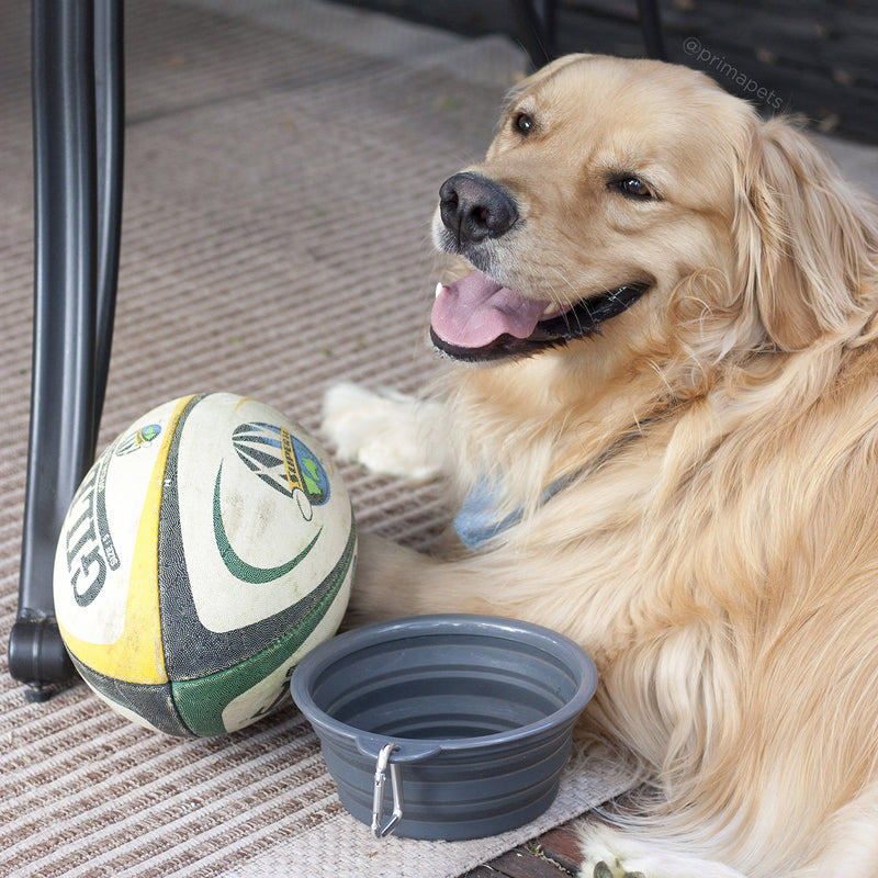 [Australia] - Prima Pets Collapsible Silicone Food & Water Travel Bowl with Clip for Dog and Cat, Small (1.5 Cups) & Large (5 Cups) LARGE (5 CUPS) - 2 PACK GREY 