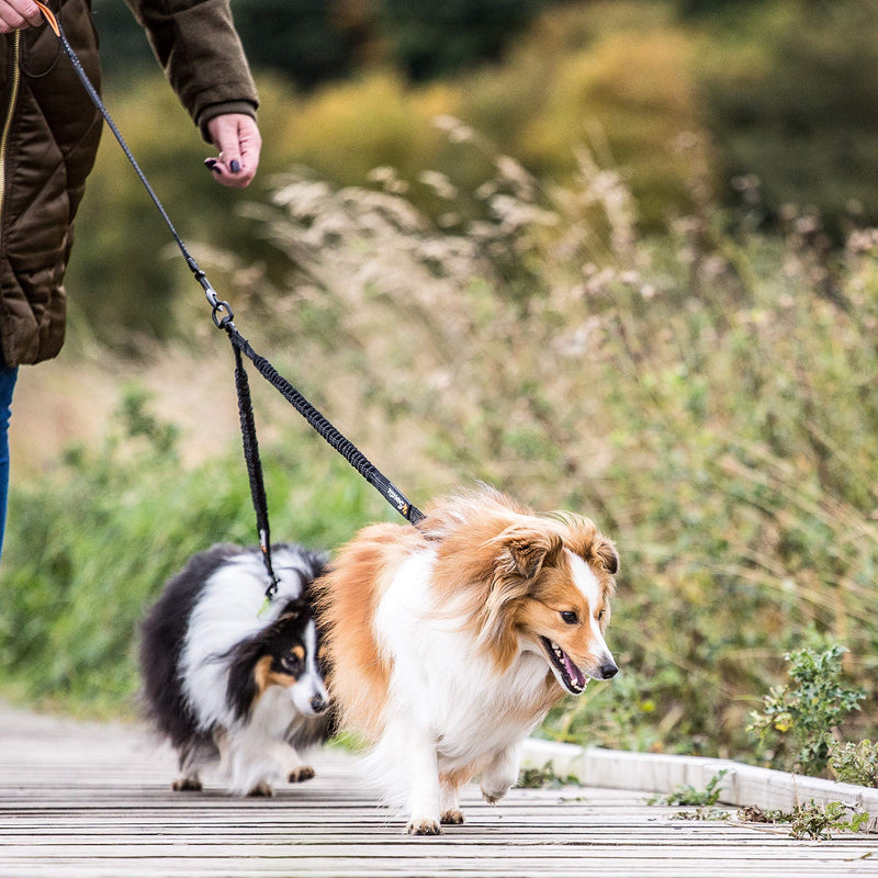 Sweetie Dog Lead Splitter – Dual Shock Absorbing Bungee Double Leash Coupler - Perfect Leads for Walking 2 Small to Medium Dogs on One Lead - No Tangle 360° Swivel Clip - Reflective Stitching Bungee Splitter - PawsPlanet Australia