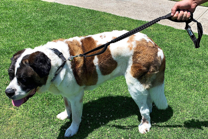 [Australia] - Shed Defender Shock Absorbing Bungee Leash - Three Padded Handles for Traffic Control at Different Lengths, Stretches from 4-7ft, Elastic Dog Leash, Reflective Stitching,training, black, Large, Medium 