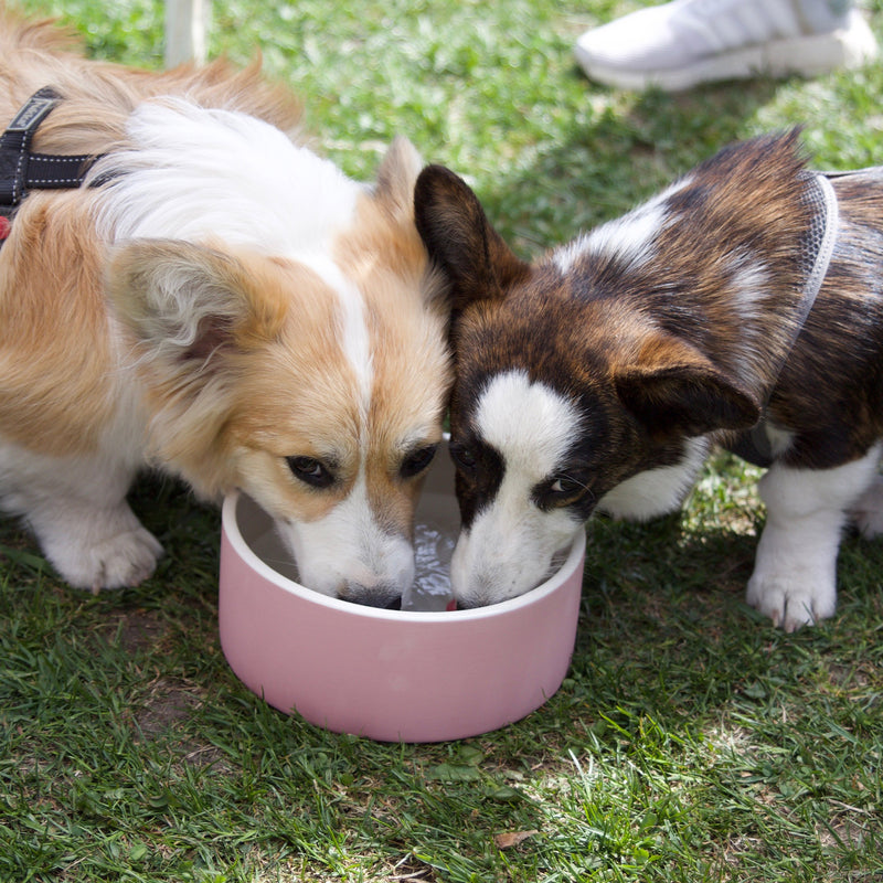 [Australia] - Magisso Happy Pet Project Naturally Cooling Ceramics Water Bowl tal-lt Pink 