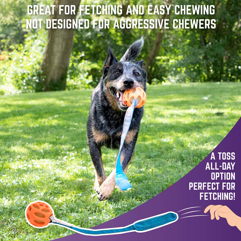 [Australia] - Chew King Fetch Balls Durable Natural Floating Dog Toy, Float and Glow Flyer, Squeaker Ball Dog Toy Flyer- 4.5" 