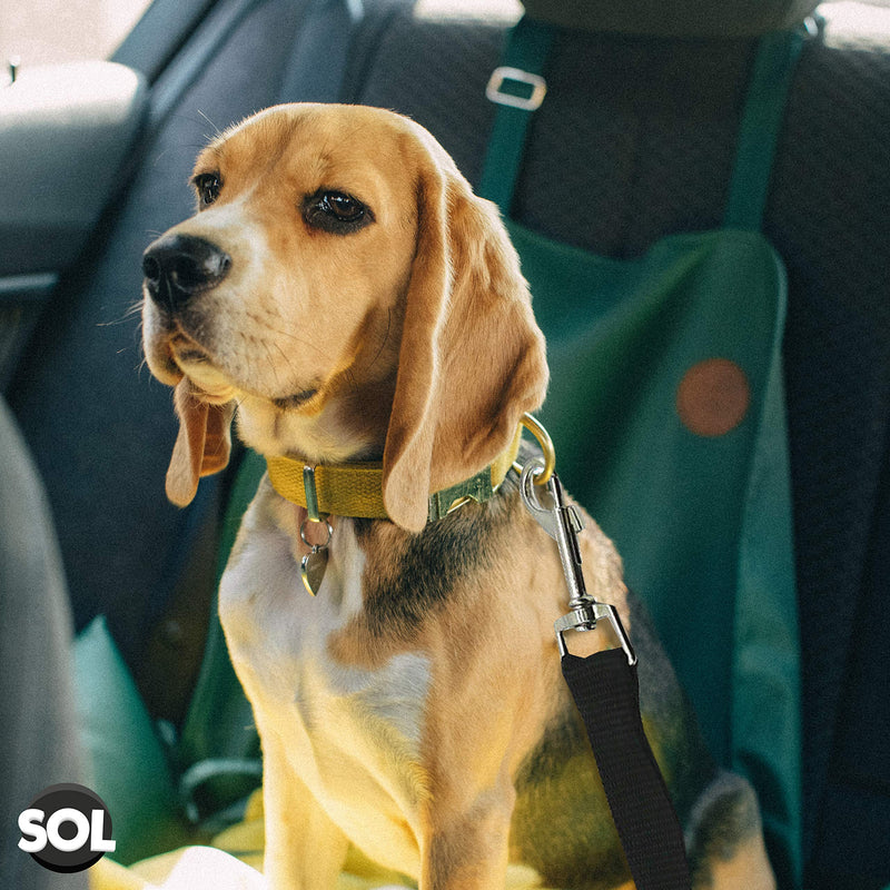 2pk Dog Car Seat Belts | Adjustable Dog Seat Belt for Dogs In Car | Dog Seat Belts for Cars UK | Car Dog Seat Belt Clip | Dog Car Seat Belt | Dog Seatbelt for Dogs | Dog Safety Belt for Car - PawsPlanet Australia