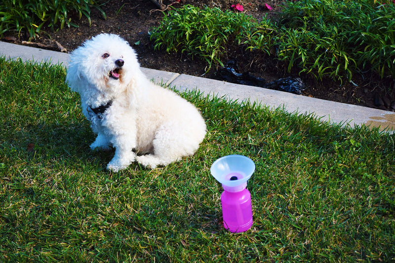 [Australia] - Highwave AutoDogMug Mini Pink 