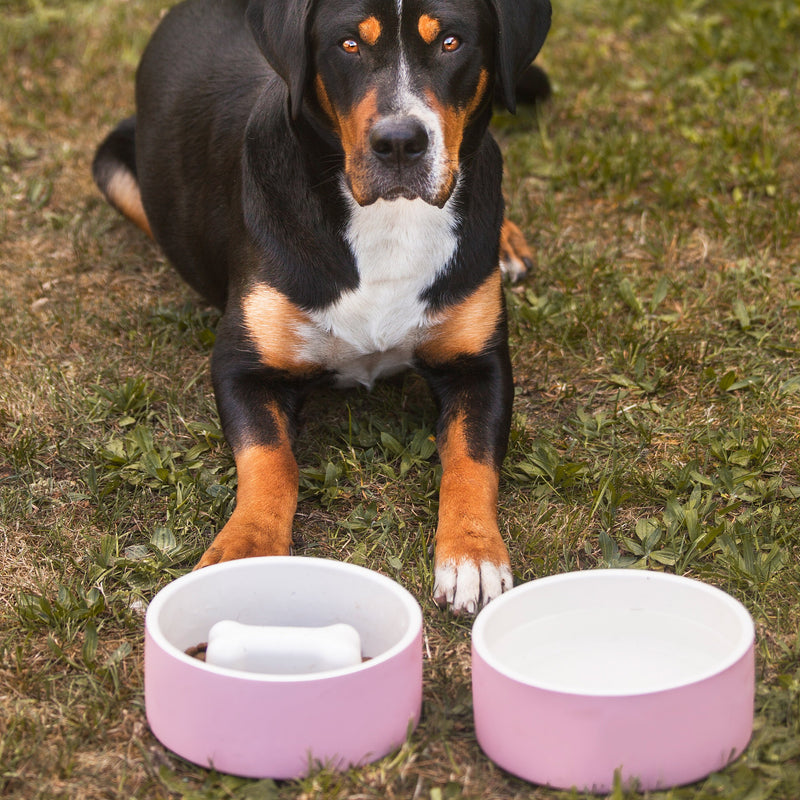 [Australia] - Magisso Happy Pet Project Naturally Cooling Ceramics Water Bowl tal-lt Pink 