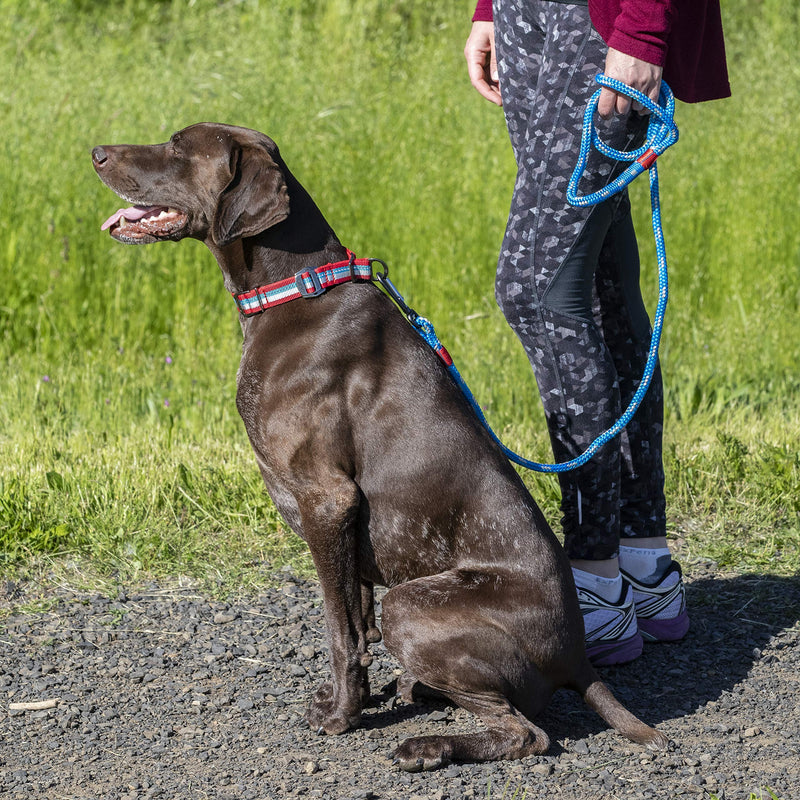 [Australia] - Kurgo Limited Slip Collar for Dogs, Martingale Style Collar, Active Dog Collar, Adjustable, Reflective Trim, Walk About Limited Slip Collar, Chili Red Small 