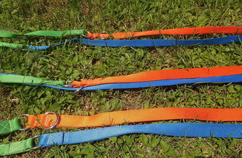 Smart Dog Training Lead 4 Rings, L, Multi-Colour - PawsPlanet Australia