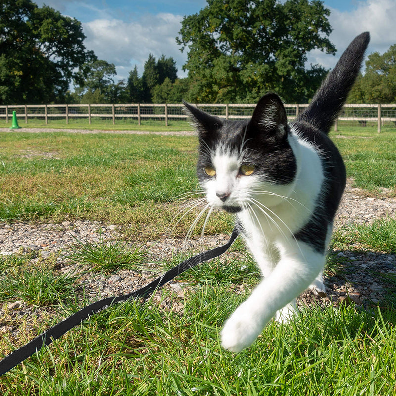 [Australia] - Segzwlor Cat Leash - Escape Proof Safety Leash with Soft Padded Handle for Cats Walking Outdoor - Nylon Durable 59" Leash Easy Control Kitten/Puppy for Training/Playing/Camping 