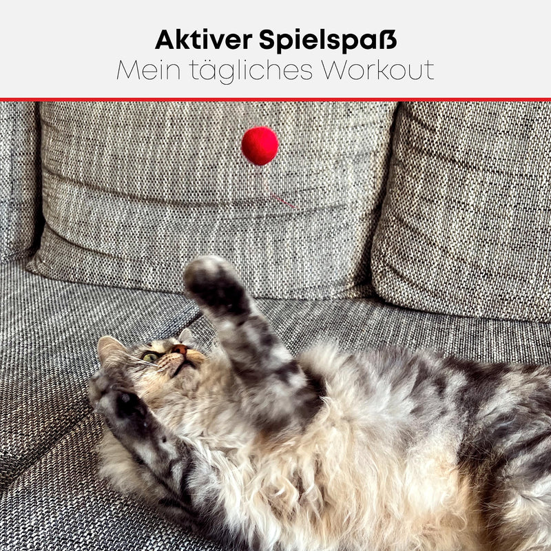 ST.PAWLY® Felzis - cat toys - felt balls cats - cat toys self-employment - sustainable toys for cats - interactive cat ball - 100% sheep wool - natural cat toys - PawsPlanet Australia