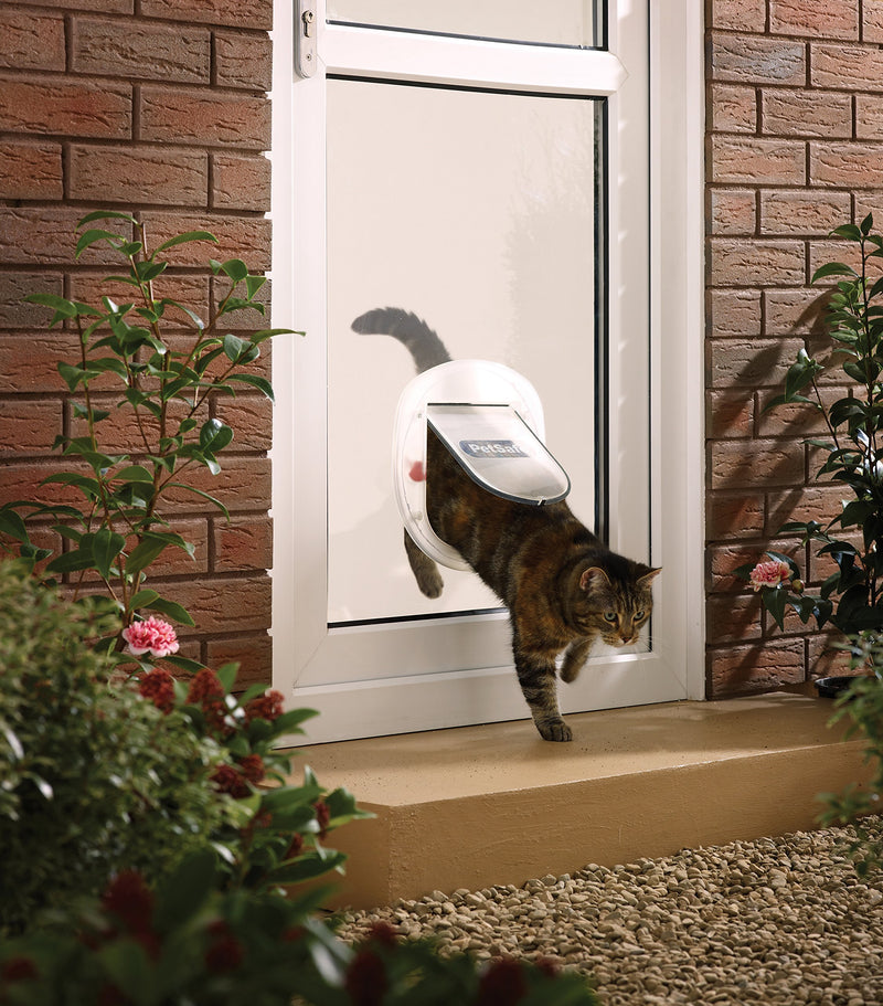 PetSafe Staywell Big Cat/Small Dog Pet Door Frosted - PawsPlanet Australia