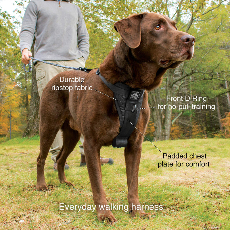 Kurgo Tru-Fit Smart Dog Walking Harness, Quick Release Buckles, No-Pull Training Clip, Includes Seat Belt Tether, Extra Small-Black X-Small - PawsPlanet Australia