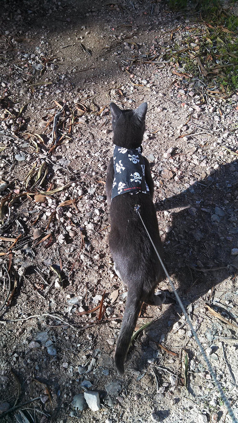 Mynwood Cat Jacket/Harness Skulls Adult Cat - PawsPlanet Australia