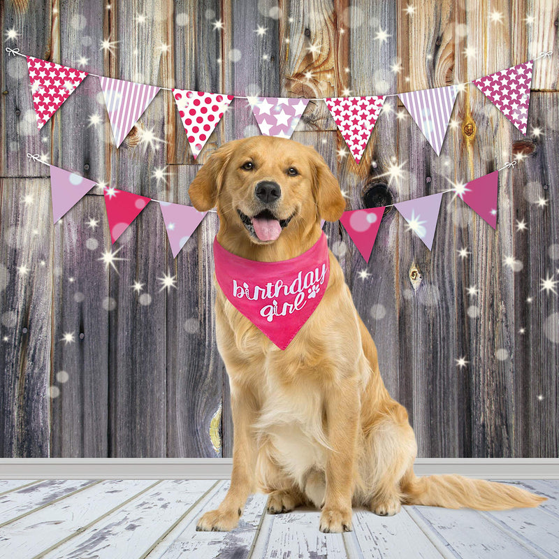 Stella and Bear Dog Birthday Bandana - Pet Scarf- Birthday Bandana- Great for Special Occasion or Birthday Gift Co. Large Pink Girl - PawsPlanet Australia