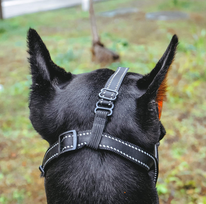 Dog Muzzle, Soft Rubber Basket Muzzle Cage Muzzle for Small Medium Large Dogs,Adjustable, Anti-Barking and Anti-Chewing,Allows Drinking and Panting, Used with Collar 1 Grey - PawsPlanet Australia