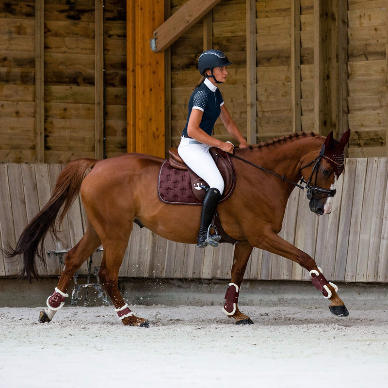 [Australia] - Horze Graz Fetlock Boots Horse Rum Raisin Brown 