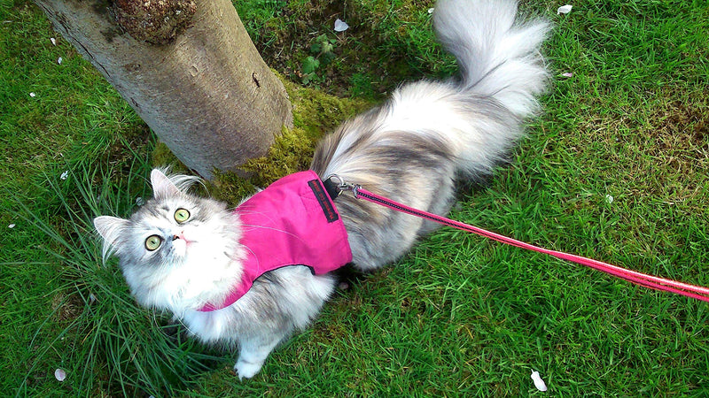Mynwood Cat Jacket/Harness Pink Adult - PawsPlanet Australia