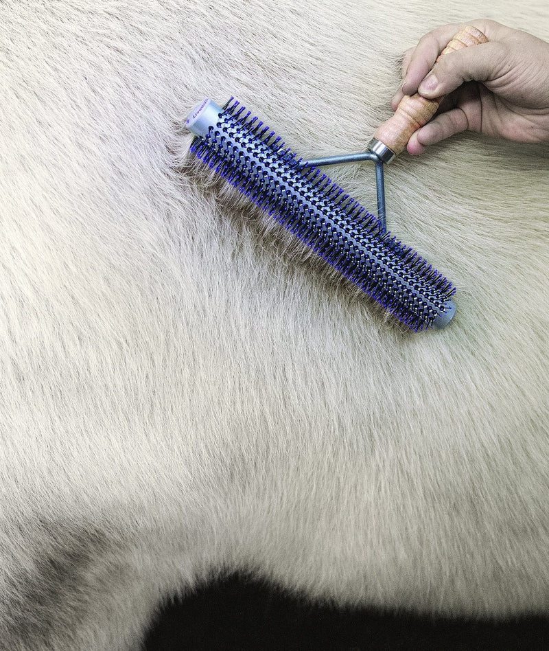 Weaver Leather Livestock Wide Range Brush , Silver/Purple - PawsPlanet Australia