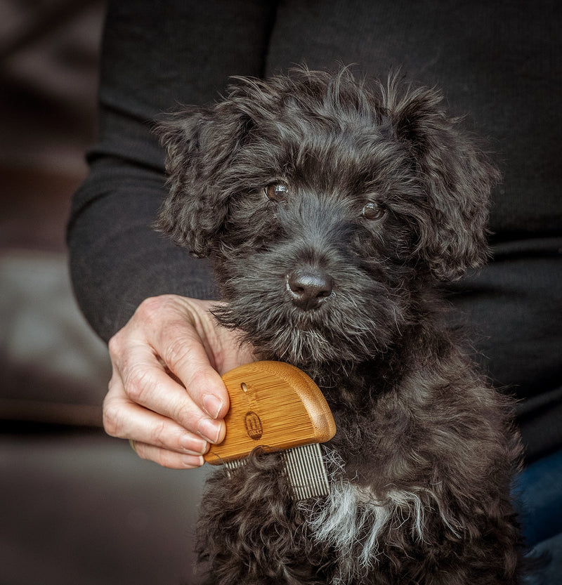 Mikki Bamboo Puppy & Kitten Gentle Grooming Kit, Including Bristle Palm Brush and Comb for Use with Dog, Cat, Puppy, Handmade from Natural Sustainable Bamboo brown - PawsPlanet Australia