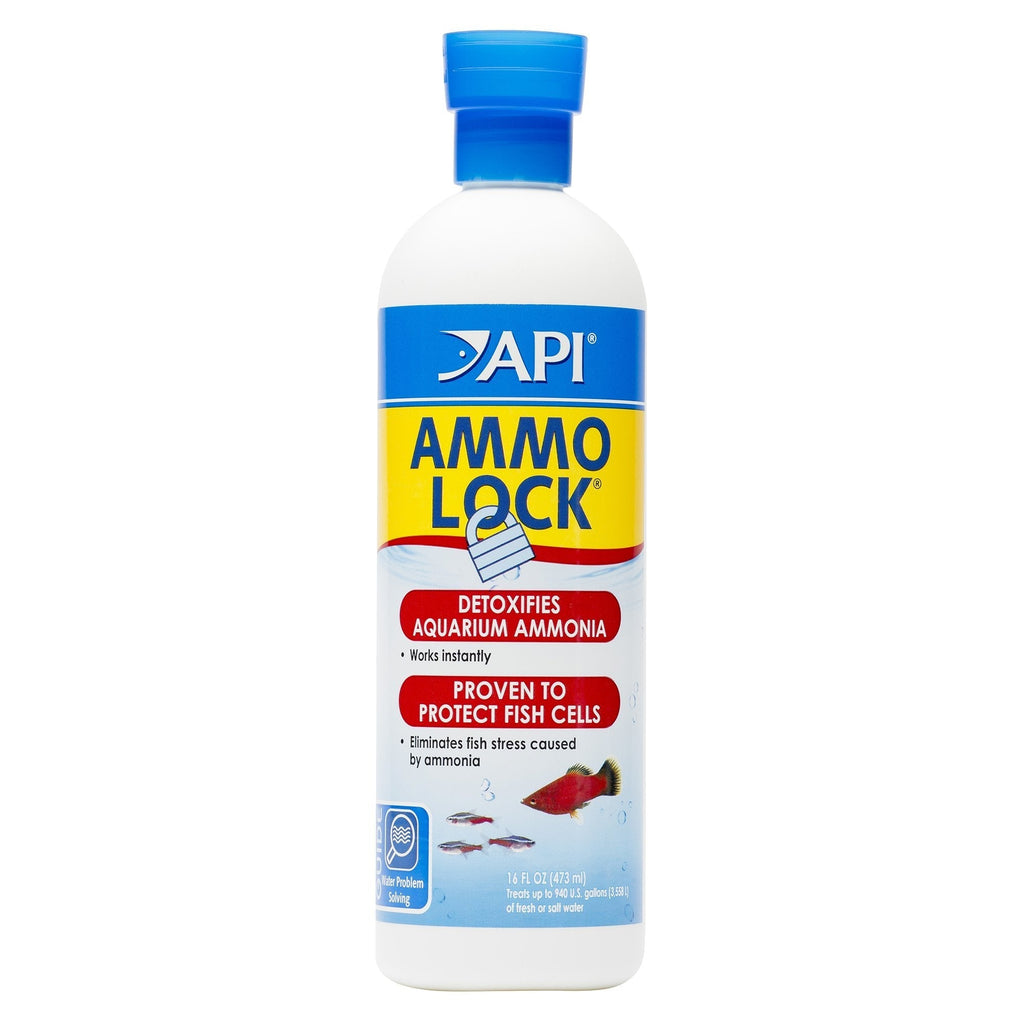 API AMMO-LOCK Freshwater and Saltwater Aquarium Ammonia Detoxifier 16-Ounce Bottle 16 oz - PawsPlanet Australia