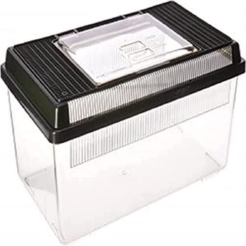 Exo Terra Faunarium, Flat Home, Plastic Reptile Terrarium, Medium - PawsPlanet Australia