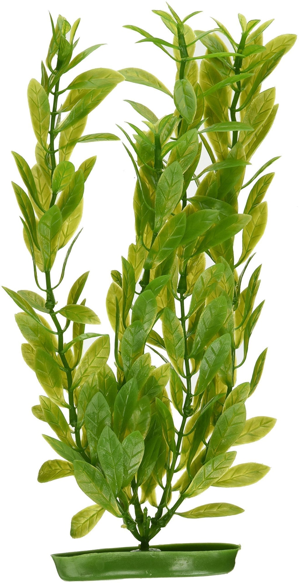 [Australia] - Marina Aquascaper Hygrophila Large Plant, 12-Inch 