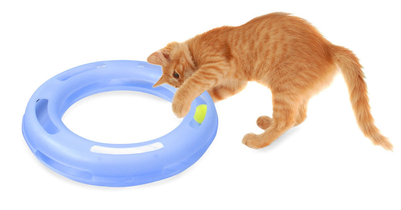 [Australia] - FAT CAT Crazy Circle Interactive Cat Toy Small 