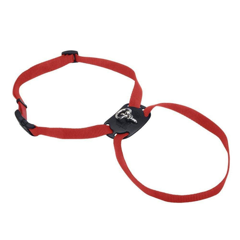 [Australia] - Coastal Pet Size Right Adjustable Harness Red 18 to 24 Inches Girth with a Width of 5/8 in. 